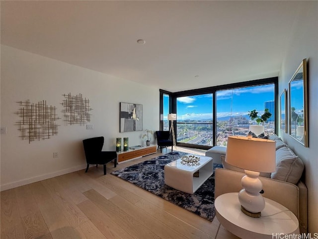 living room with floor to ceiling windows and hardwood / wood-style floors