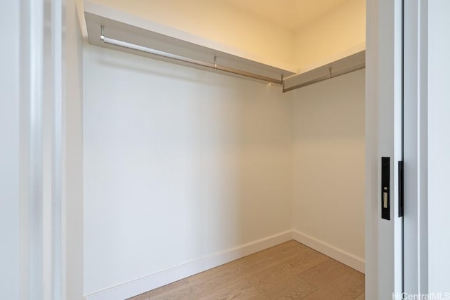 spacious closet featuring light hardwood / wood-style floors