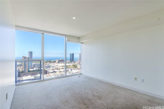 spare room featuring floor to ceiling windows and carpet flooring