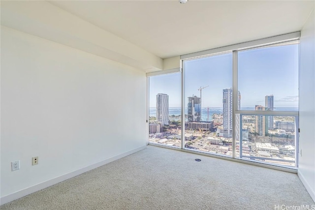 carpeted empty room with floor to ceiling windows