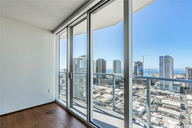 empty room with dark hardwood / wood-style flooring and floor to ceiling windows