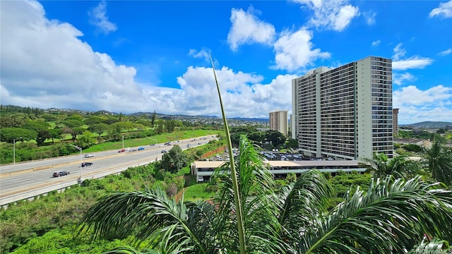98-1038 Moanalua Rd Unit 7-907, Aiea, HI 96701 - photo 25
