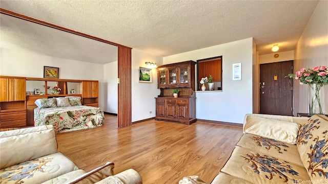 living room featuring a textured ceiling and light hardwood / wood-style flooring