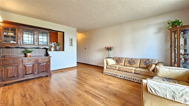 living room featuring a textured ceiling and light hardwood / wood-style flooring