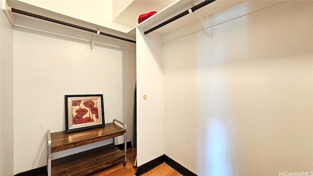 spacious closet featuring hardwood / wood-style flooring