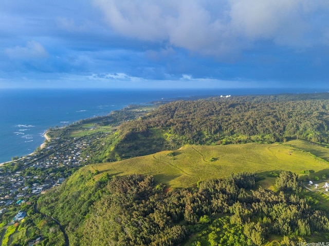 58-248 Kamehameha Hwy Unit C1, Haleiwa, HI 96712 - photo 4