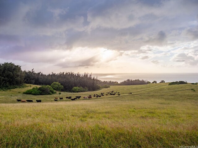 58-248 Kamehameha Hwy Unit C1, Haleiwa, HI 96712 - photo 8