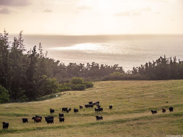 58-248 Kamehameha Hwy Unit C1, Haleiwa, HI 96712 - photo 13