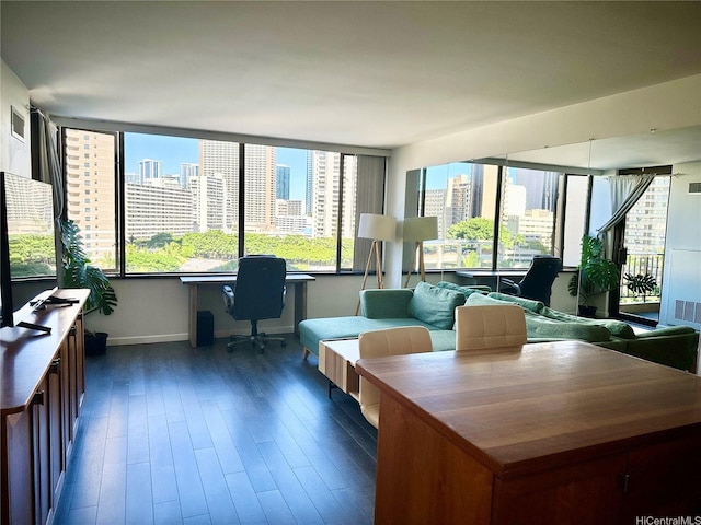 411 Hobron Ln Unit 912, Honolulu, HI 96815 - office space featuring dark wood-style floors and a view of city