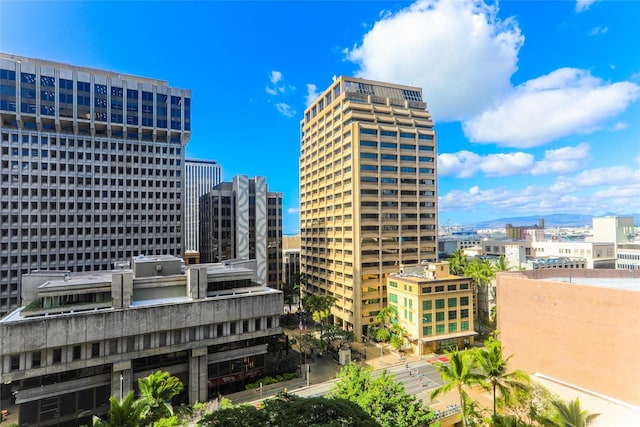 1088 Bishop St Unit 1125, Honolulu, HI 96813 - view of city