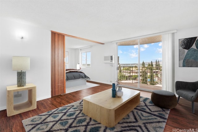 living room featuring dark hardwood / wood-style floors and a wall unit AC