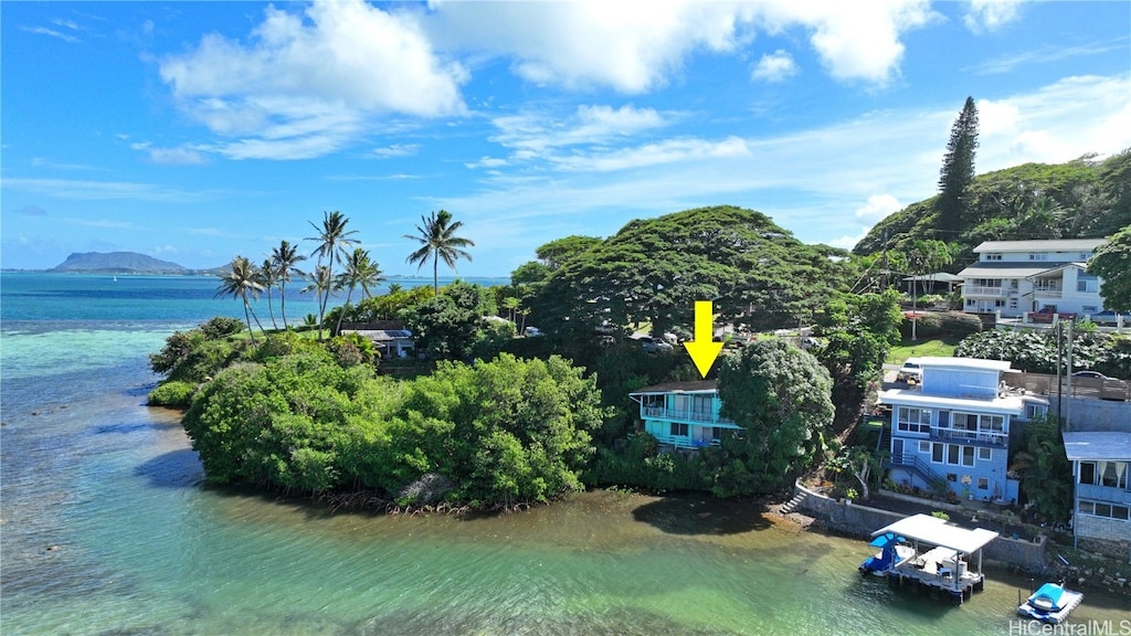 bird's eye view with a water view