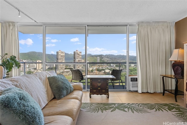 interior space featuring a wall of windows, a textured ceiling, and a wealth of natural light