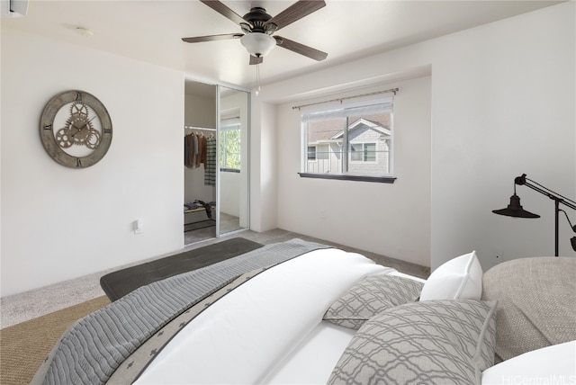 carpeted bedroom with ceiling fan, a spacious closet, and a closet