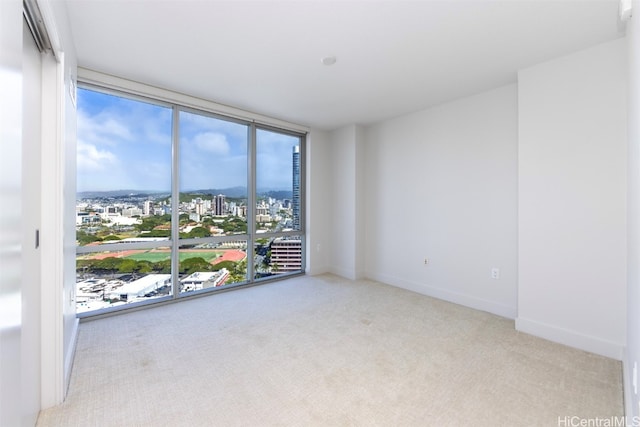 carpeted empty room featuring floor to ceiling windows