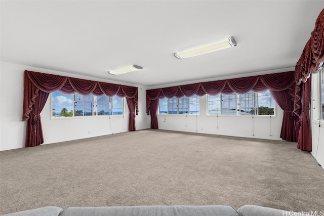 carpeted empty room featuring a wealth of natural light