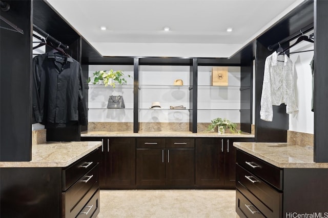 spacious closet with light carpet