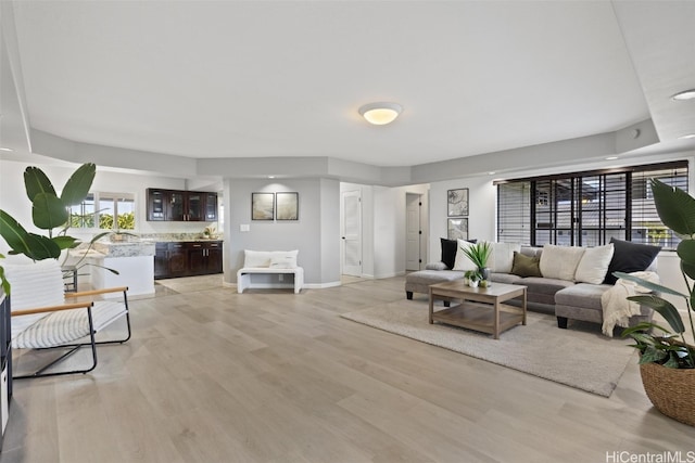 living room with light hardwood / wood-style flooring and a tray ceiling