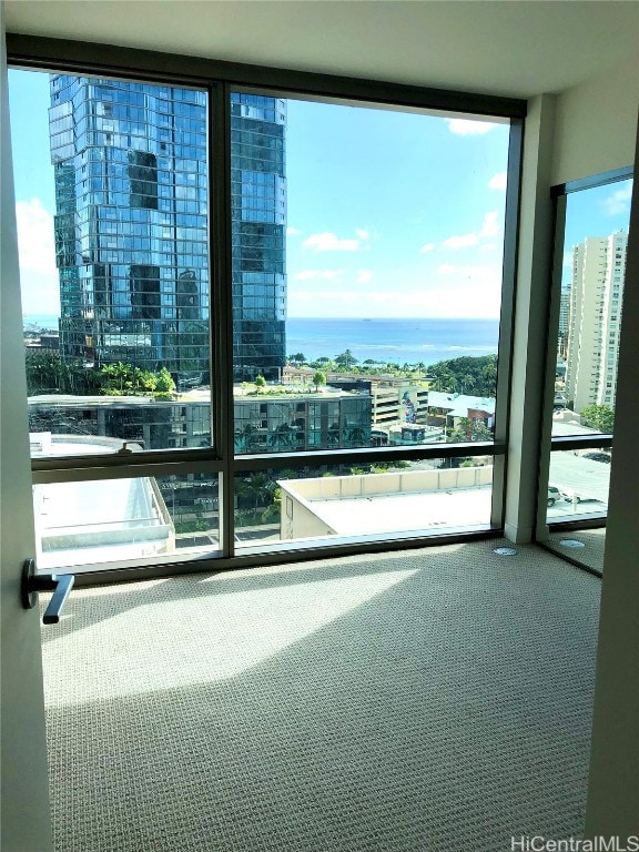 interior space featuring floor to ceiling windows, plenty of natural light, a water view, and carpet floors