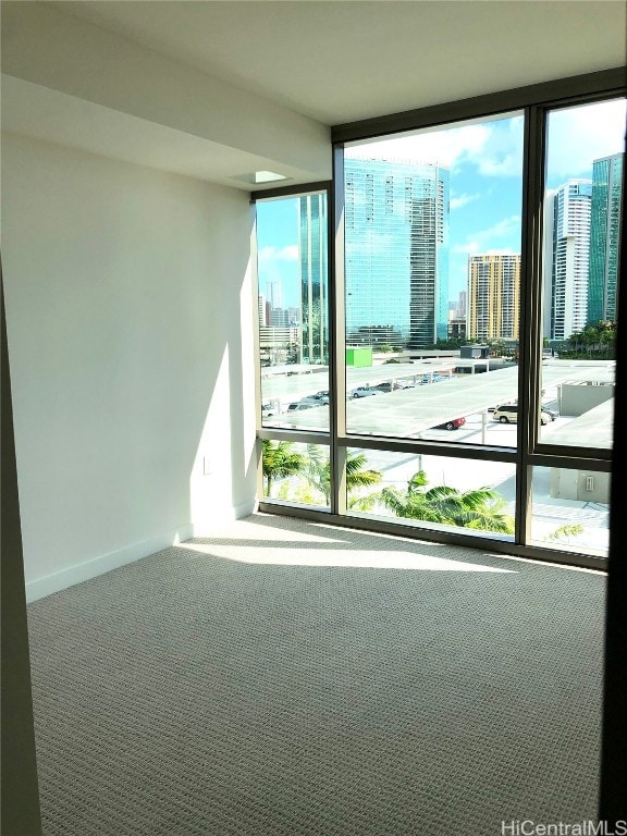 carpeted empty room featuring expansive windows and a healthy amount of sunlight