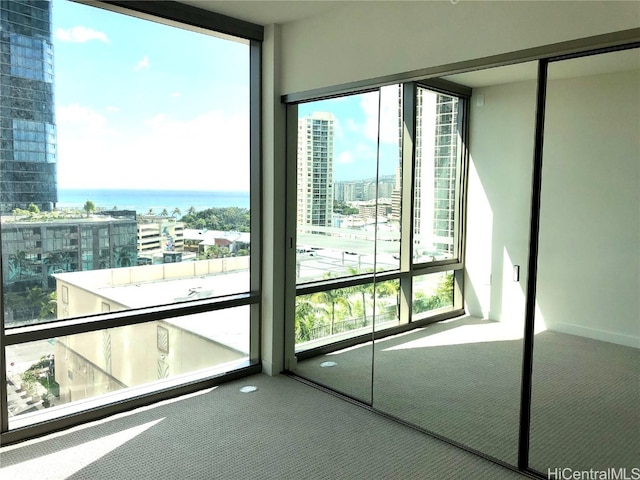 interior space with a water view, carpet floors, and a healthy amount of sunlight