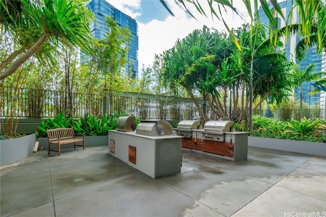 view of patio / terrace with grilling area and an outdoor kitchen