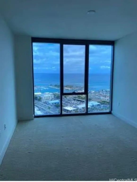 empty room with carpet floors, a water view, and floor to ceiling windows