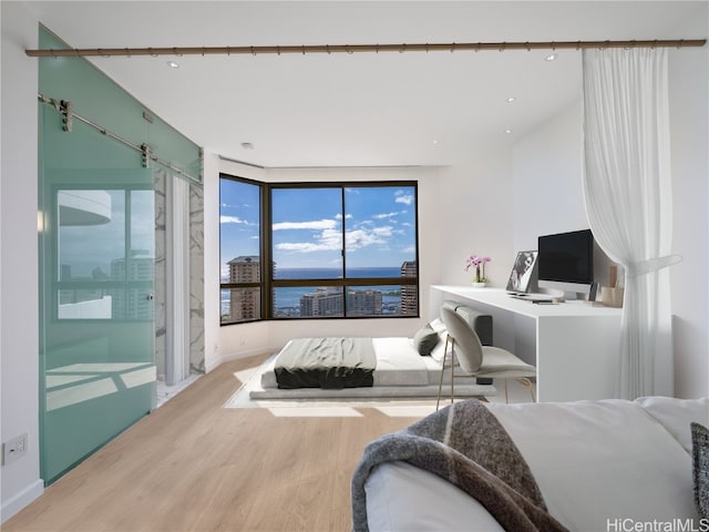 bedroom featuring light hardwood / wood-style flooring