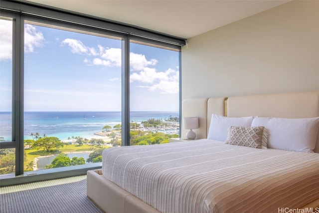 bedroom featuring expansive windows, a water view, and multiple windows