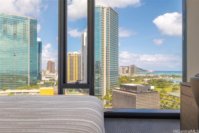 bedroom featuring a water view