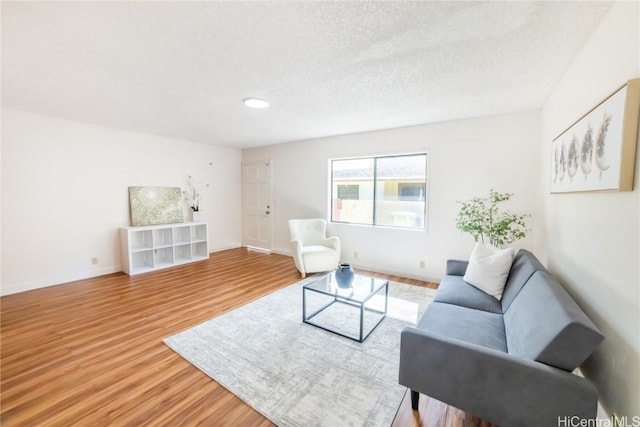 living room featuring wood-type flooring and a textured ceiling