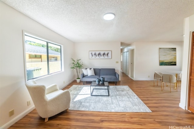 living room featuring wood-type flooring and a textured ceiling