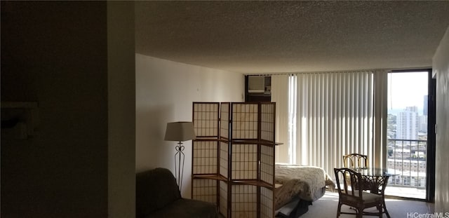 sitting room with a textured ceiling