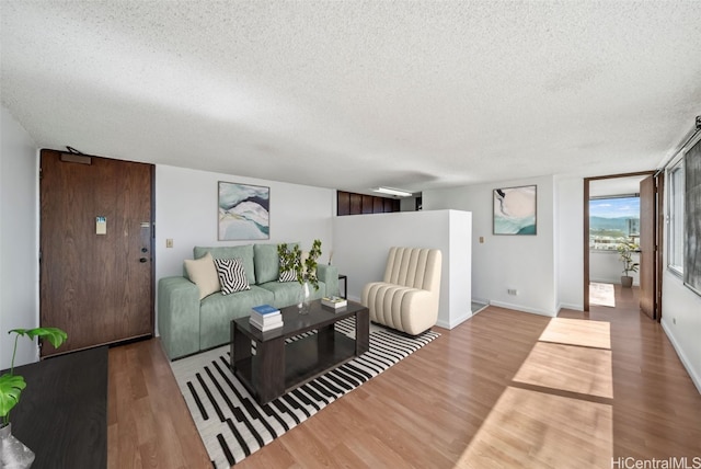 living room with hardwood / wood-style floors and a textured ceiling