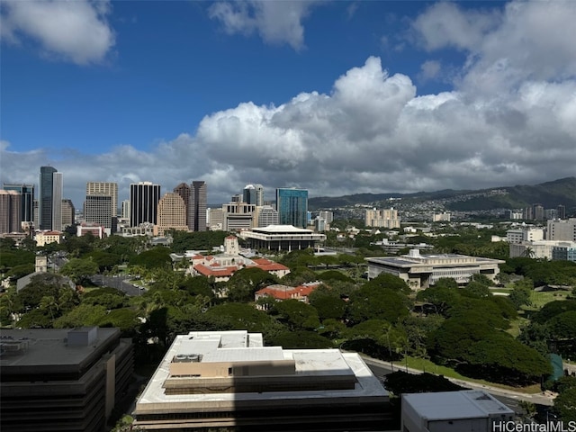 property's view of city