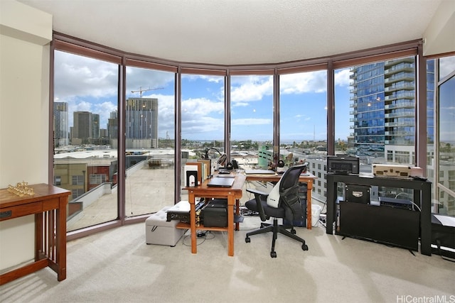 carpeted office with floor to ceiling windows and a textured ceiling