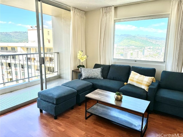 living room with a mountain view and hardwood / wood-style flooring