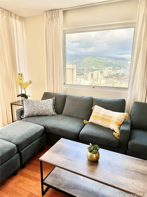 living room with hardwood / wood-style floors