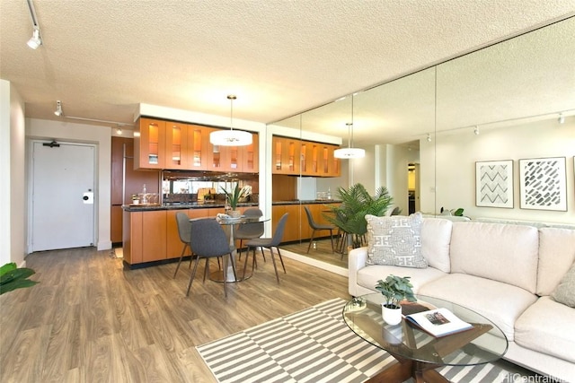 living room with dark hardwood / wood-style flooring and a textured ceiling