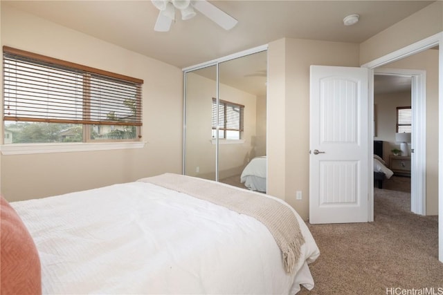 bedroom featuring carpet flooring, a closet, and ceiling fan