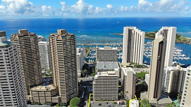 aerial view with a water view