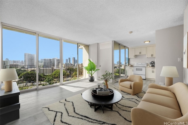 living room featuring a textured ceiling, light wood-type flooring, and expansive windows