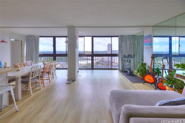 living room with hardwood / wood-style floors