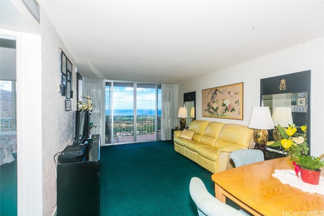 carpeted living room with a textured ceiling, expansive windows, and a healthy amount of sunlight