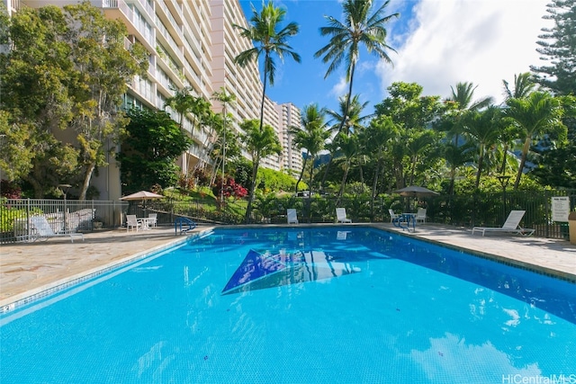 view of swimming pool with a patio