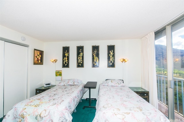 carpeted bedroom with a closet