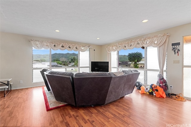 living room with hardwood / wood-style floors and a textured ceiling