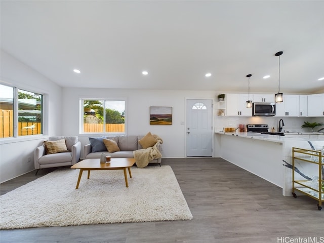 living room with sink and dark wood-type flooring