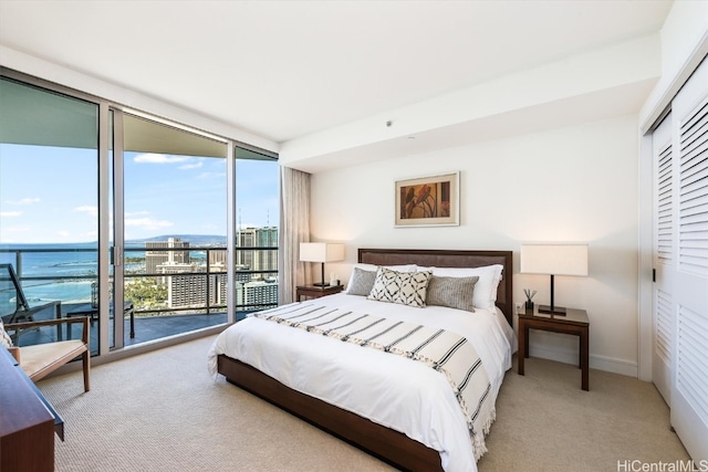 bedroom featuring access to exterior, a water view, light carpet, and a closet