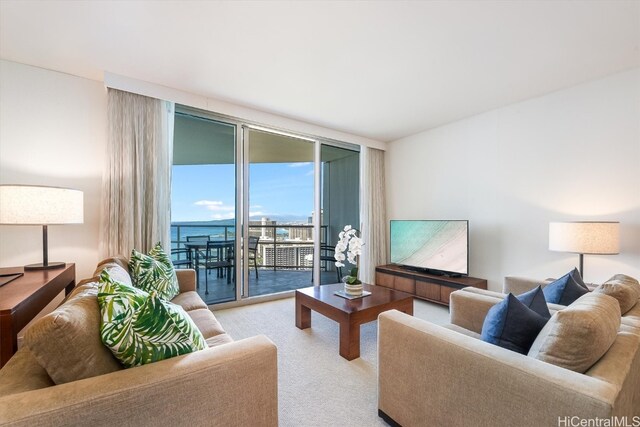 carpeted living room with floor to ceiling windows